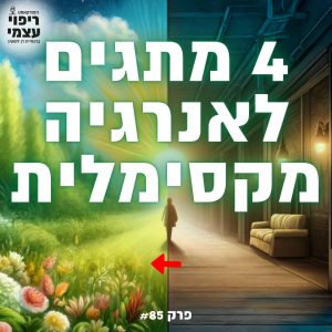 פרק 85- 4 מתגים לאנרגיה מקסימלית